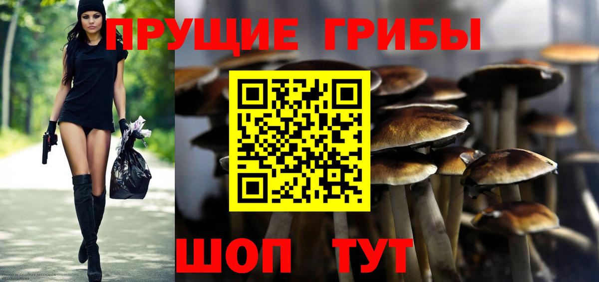 Псилоцибиновые грибы Magic Shrooms Гай